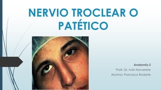 NERVIO TROCLEAR O
PATÉTICO

Anatomía 2
Profr: Dr. Iván Navarrete
Alumno: Francisco Rodarte

 