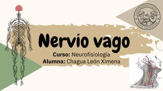 Nervio vago
Curso: Neurofisiología
Alumna: Chagua León Ximena


 