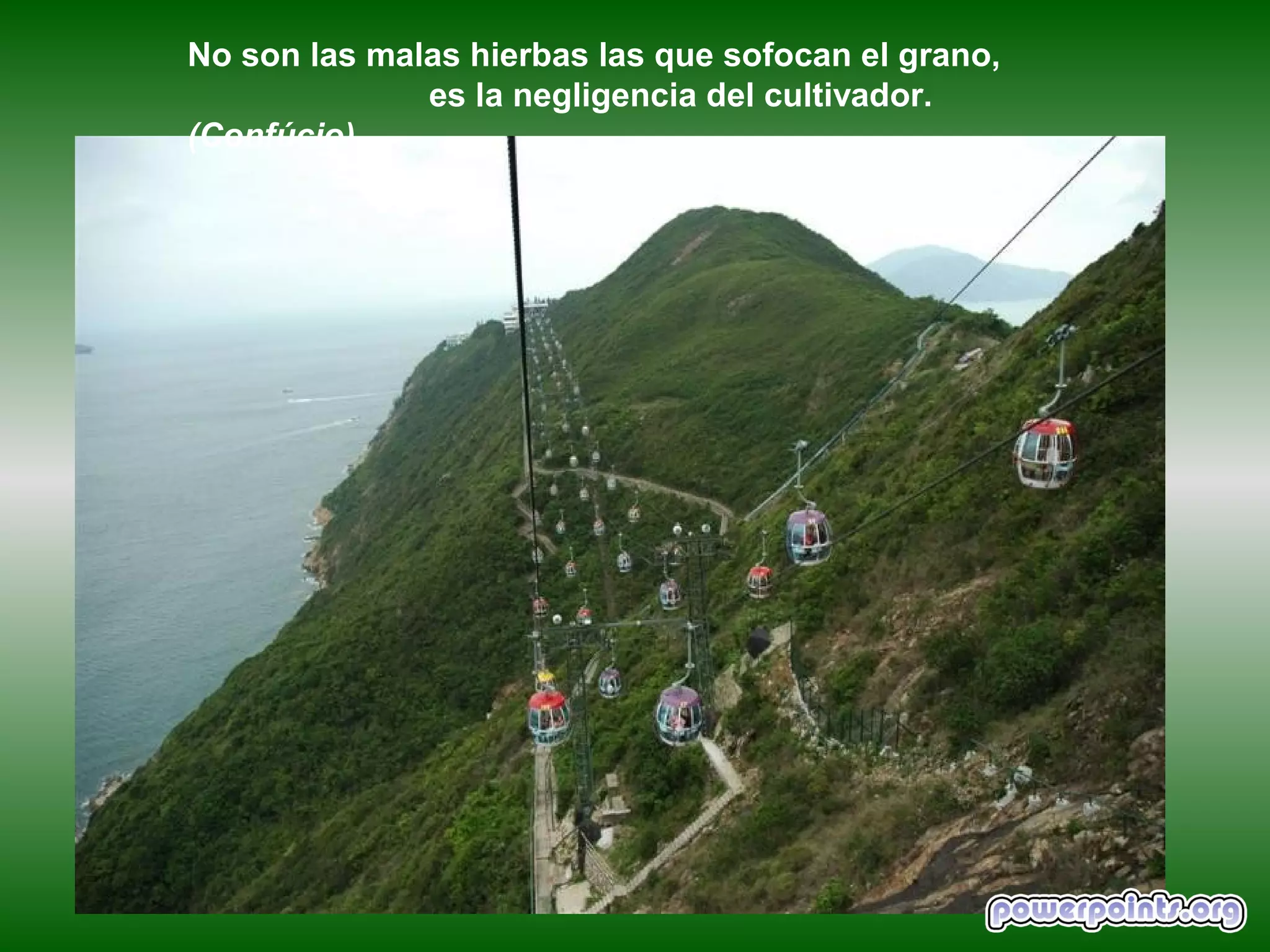 No son las malas hierbas las que sofocan el grano,
              es la negligencia del cultivador.
(Confúcio)
 