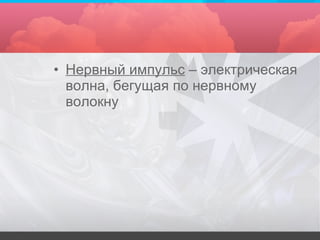 Нервный импульс  – электрическая волна, бегущая по нервному волокну 