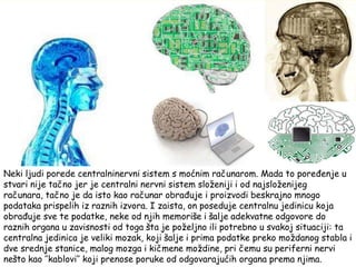 Neki ljudi porede centralninervni sistem s moćnim računarom. Mada to poređenje u
stvari nije tačno jer je centralni nervni sistem sloţeniji i od najsloţenijeg
računara, tačno je da isto kao računar obrađuje i proizvodi beskrajno mnogo
podataka prispelih iz raznih izvora. I zaista, on poseduje centralnu jedinicu koja
obrađuje sve te podatke, neke od njih memoriše i šalje adekvatne odgovore do
raznih organa u zavisnosti od toga šta je poţeljno ili potrebno u svakoj situaciji: ta
centralna jedinica je veliki mozak, koji šalje i prima podatke preko moţdanog stabla i
dve srednje stanice, malog mozga i kičmene moţdine, pri čemu su periferni nervi
nešto kao ’’kablovi’’ koji prenose poruke od odgovarajućih organa prema njima.
 