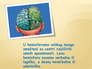 U hemisferama velikog mozga
smešteni su centri različitih
umnih sposobnosti. Levu
hemisferu zovemo verbalna ili
logička, a desnu neverbalna ili
umetnička.
 
