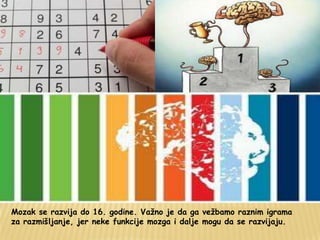 Mozak se razvija do 16. godine. Važno je da ga vežbamo raznim igrama
za razmišljanje, jer neke funkcije mozga i dalje mogu da se razvijaju.
 