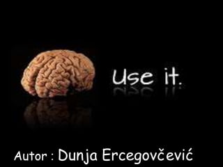 Autor : Dunja Ercegovčević
 