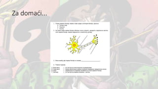 Za domaći...
 