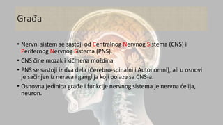 Građa
• Nervni sistem se sastoji od Centralnog Nervnog Sistema (CNS) i
Perifernog Nervnog Sistema (PNS).
• CNS čine mozak i kičmena moždina
• PNS se sastoji iz dva dela (Cerebro-spinalni i Autonomni), ali u osnovi
je sačinjen iz nerava i ganglija koji polaze sa CNS-a.
• Osnovna jedinica građe i funkcije nervnog sistema je nervna ćelija,
neuron.
 