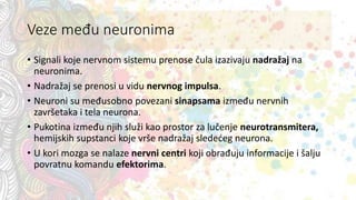 Veze među neuronima
• Signali koje nervnom sistemu prenose čula izazivaju nadražaj na
neuronima.
• Nadražaj se prenosi u vidu nervnog impulsa.
• Neuroni su međusobno povezani sinapsama između nervnih
završetaka i tela neurona.
• Pukotina između njih služi kao prostor za lučenje neurotransmitera,
hemijskih supstanci koje vrše nadražaj sledećeg neurona.
• U kori mozga se nalaze nervni centri koji obrađuju informacije i šalju
povratnu komandu efektorima.
 