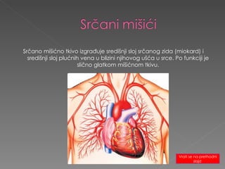 Srčano mišićno tkivo izgrađuje središnji sloj srčanog zida (miokard) i središnji sloj plućnih vena u blizini njihovog ušća u srce. Po funkciji je slično glatkom mišićnom tkivu. Vrati se na prethodni slajd  