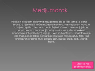 Pokriven je ostalim delovima mozga tako da se vidi samo sa donje strane. U njemu leži treća moždana komora. Na njegovom krovu je razvijena epifiza, žlezda sa unutrašnjim lučenjem. Na donjoj strani, podu komore, označenoj kao hipotalamus, javlja se levkasto ispupčenje (infundibulum) koje je u vezi sa hipofizom. Hipotalamus je vrlo značajan refleksni centar koji kontroliše temperaturu tela, rad unutrašnjih organa, krvni pritisak, san, osećaj gladi, žeđi, straha, besa. Vrati se na prethodni slajd 