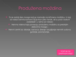 To je  zadnji deo mozga koji  se  nastavlja na kičmenu moždinu.  U  njoj se nalazi četvrta komora čiji  je  krov jako tanak ,  ali su pod i bokovi zadebljali i u njima se nalaze : Nervna vlakna koja povezuju produženu moždinu sa prednjim delovima mozga  ; Nervni centri za :  disanje ,  rad srca ,  širenje i skupljanje nervnih sudova ,  gutanje, povraćanje . Vrati se na prethodni slajd 