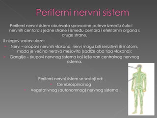 Periferni nervni sistem obuhvata sprovodne puteve između čula i nervnih centara s jedne strane i između centara i efektornih organa s druge strane. U njegov sastav ulaze:  Nervi – snopovi nervnih vlakana; nervi mogu biti senzitivni ili motorni, mada je većina nerava mešovita (sadrže oba tipa vlakana); Ganglije – skupovi nervnog sistema koji leže van centralnog nervnog sistema. Periferni nervni sistem se sastoji od:  Cerebrospinalnog  Vegetativnog (autonomnog) nervnog sistema 