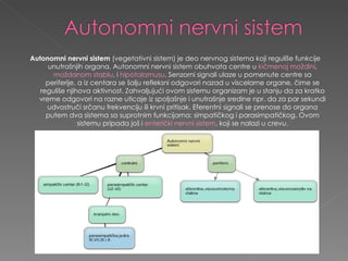 Autonomni nervni sistem  (vegetativni sistem) je deo nervnog sistema koji reguliše funkcije unutrašnjih organa. Autonomni nervni sistem obuhvata centre u  kičmenoj moždini ,  moždanom stablu , i  hipotalamusu . Senzorni signali ulaze u pomenute centre sa periferije, a iz centara se šalju refleksni odgovori nazad u viscelarne organe, čime se reguliše njihova aktivnost. Zahvaljujući ovom sistemu organizam je u stanju da za kratko vreme odgovori na razne uticaje iz spoljašnje i unutrašnje sredine npr. da za par sekundi udvostruči srčanu frekvenciju ili krvni pritisak. Eferentni signali se prenose do organa putem dva sistema sa suprotnim funkcijama: simpatičkog i parasimpatičkog. Ovom sistemu pripada još i  enterički nervni sistem , koji se nalazi u crevu. 