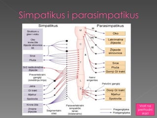 Vrati na prethodni slajd 