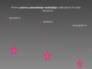 Prema  pravcu prenošenja nadražaja  razlikujemo tri vrste neurona: Senzitivni Motorni Asocijativni 