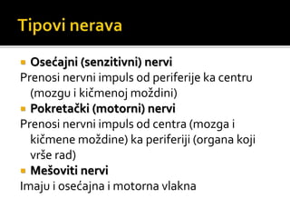  Osećajni (senzitivni) nervi
Prenosi nervni impuls od periferije ka centru
(mozgu i kičmenoj moždini)
 Pokretački (motorni) nervi
Prenosi nervni impuls od centra (mozga i
kičmene moždine) ka periferiji (organa koji
vrše rad)
 Mešoviti nervi
Imaju i osećajna i motorna vlakna
 