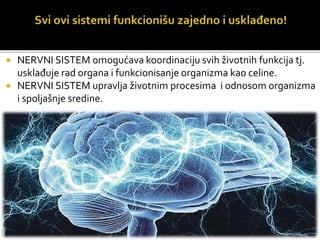  NERVNI SISTEM omogućava koordinaciju svih životnih funkcija tj.
usklađuje rad organa i funkcionisanje organizma kao celine.
 NERVNI SISTEM upravlja životnim procesima i odnosom organizma
i spoljašnje sredine.
 