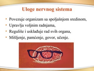Uloge nervnog sistema
Povezuje organizam sa spoljašnjom sredinom,
Upravlja voljnim radnjama,
Reguliše i usklađuje rad svih organa,
Mišljenje, pamćenje, govor, učenje.
 