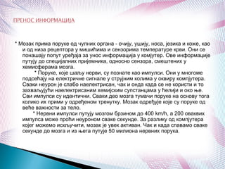 * Мозак прима поруке од чулних органа - очију, ушију, носа, језика и коже, као
и од низа рецептора у мишићима и сензорима температуре крви. Они се
понашају попут уређаја за унос информација у комјутер. Ове информације
путују до специјалних пријемника, односно сензора, смештених у
хемисферама мозга.
        * Поруке, које шаљу нерви, су познате као импулси. Они у многоме
подсећају на електричне сигнале у струјним колима у оквиру компјутера.
Сваки неурон је слабо наелектрисан, чак и онда када се не користи и то
захваљујући наелектрисаним хемијским супстанцама у ћелији и око ње.
Сви импулси су идентични. Сваки део мозга тумачи поруке на основу тога
колико их прими у одређеном тренутку. Мозак одређује које су поруке од
веће важности за тело.
       * Нервни импулси путују мозгом брзином до 400 km/h, а 200 оваквих
импулса може проћи неуроном сваке секунде. За разлику од компјутера
којег можемо искључити, мозак је увек активан. Чак и када спавамо сваке
секунде до мозга и из њега путује 50 милиона нервних порука. 
 