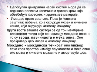 
Целокупан централни нерви систем мора да се
одржава великом количином дотока крви која
обезбеђује кисеоник и хранљиве материје.

Има две врсте заштите. Прва је коштана
заштита: лобања, која окружује мозак и кичмени
канал, који окружује кичмену мождину.
Друга врста зашите састоји се од три мембране
влакнастог ткива које се називају мождане опне, и
то су тврда, паучинаста и мека опна. Оне
прекривају цео мозак и кичмену мождину.
Мождано - мождинска течност или ликвор
тече кроз простор између паучинасте и меке опне
око мозга и кичмене мождине и амортизује шок.
 
