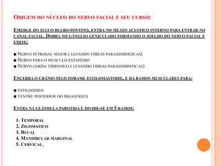 ORIGEM DO NÚCLEO DO NERVO FACIAL E SEU CURSO: 
EMERGE DO SULCO BULBO-PONTINO, ENTRA NO MEATO ACUSTICO INTERNO PARA ENTRAR NO 
CANAL FACIAL. DOBRA NO GÂNGLIO GENICULADO FORMANDO O JOELHO DO NERVO FACIAL E 
EMITE: 
■ NERVO PETROSAL MAIOR ( LEVANDO FIBRAS PARASSIMPATICAS) 
■ NERVO PARA O MÚSCULO ESTAPÉDIO 
■ NERVO CORDA TIMPANICO ( LEVANDO FIBRAS PARASSIMPATICAS) 
ENCERRA O CRÂNIO PELO FORAME ESTILOMASTOIDE, E DA RAMOS MUSCULARES PARA: 
■ ESTILOHIDEO 
■ VENTRE POSTERIOR DO DIGASTRICO 
ENTRA NA GLÂNDULA PAROTIDA E DIVIDE-SE EM 5 RAMOS: 
1. TEMPORAL 
2. ZIGOMATICO 
3. BUCAL 
4. MANDIBULAR MARGINAL 
5. CERVICAL. 
 