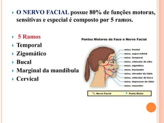  O NERVO FACIAL possue 80% de funções motoras, 
sensitivas e especial é composto por 5 ramos. 
 5 Ramos 
 Temporal 
 Zigomático 
 Bucal 
 Marginal da mandíbula 
 Cervical 
 