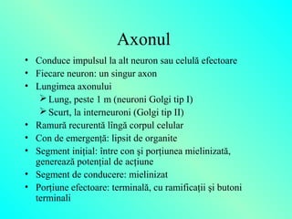 Nervos | PPT