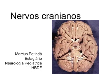 Nervos cranianos 
1 
Marcus Petindá 
Estagiário 
Neurologia Pediátrica 
HBDF 
 