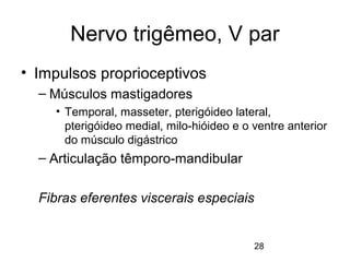 Nervo trigêmeo, V par 
28 
• Impulsos proprioceptivos 
– Músculos mastigadores 
• Temporal, masseter, pterigóideo lateral, 
pterigóideo medial, milo-hióideo e o ventre anterior 
do músculo digástrico 
– Articulação têmporo-mandibular 
Fibras eferentes viscerais especiais 
 