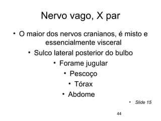 Nervo vago, X par 
• O maior dos nervos cranianos, é misto e 
essencialmente visceral 
• Sulco lateral posterior do bulbo 
44 
• Forame jugular 
• Pescoço 
• Tórax 
• Abdome 
• Slide 15 
 