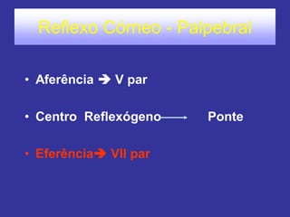 Reflexo Córneo - Palpebral
• Aferência  V par
• Centro Reflexógeno Ponte
• Eferência VII par
 