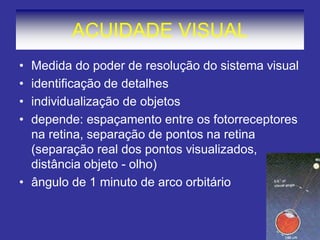 ACUIDADE VISUAL
• Medida do poder de resolução do sistema visual
• identificação de detalhes
• individualização de objetos
• depende: espaçamento entre os fotorreceptores
na retina, separação de pontos na retina
(separação real dos pontos visualizados,
distância objeto - olho)
• ângulo de 1 minuto de arco orbitário
 