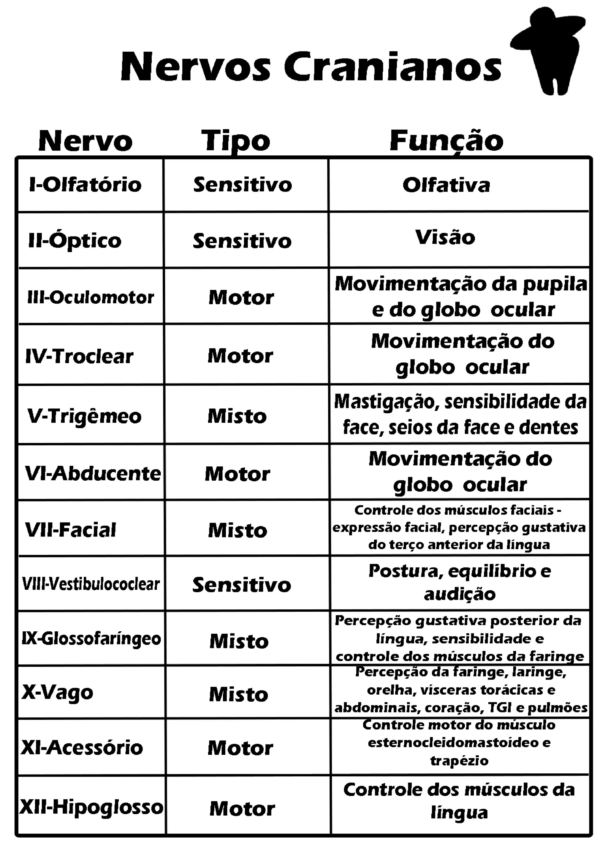Nervos Cranianos - Funções dos 12 Pares | PDF
