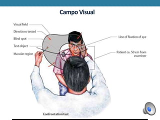 Campo Visual
 