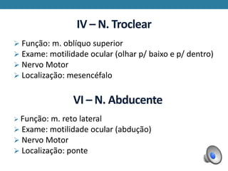 IV – N. Troclear
 Função: m. oblíquo superior
 Exame: motilidade ocular (olhar p/ baixo e p/ dentro)
 Nervo Motor
 Localização: mesencéfalo
VI – N. Abducente
 Função: m. reto lateral
 Exame: motilidade ocular (abdução)
 Nervo Motor
 Localização: ponte
 