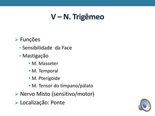 V – N. Trigêmeo
 Funções
• Sensibilidade da Face
• Mastigação
• M. Masseter
• M. Temporal
• M. Pterigoide
• M. Tensor do tímpano/pálato
 Nervo Misto (sensitivo/motor)
 Localização: Ponte
 
