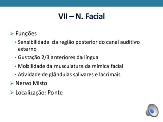 VII – N. Facial
 Funções
• Sensibilidade da região posterior do canal auditivo
externo
• Gustação 2/3 anteriores da língua
• Mobilidade da musculatura da mímica facial
• Atividade de glândulas salivares e lacrimais
 Nervo Misto
 Localização: Ponte
 