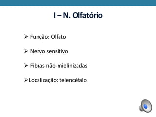 I – N. Olfatório
 Função: Olfato
 Nervo sensitivo
 Fibras não-mielinizadas
Localização: telencéfalo
 