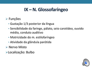 IX – N. Glossofaríngeo
 Funções
• Gustação 1/3 posterior da língua
• Sensibilidade da faringe, pálato, seio carotídeo, ouvido
médio, conduto auditivo
• Motricidade do m. estilofaríngeo
• Atividade da glândula parótida
 Nervo Misto
Localização: Bulbo
 