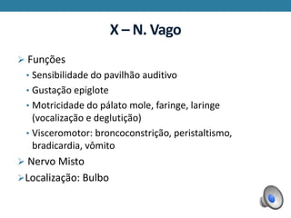 X – N. Vago
 Funções
• Sensibilidade do pavilhão auditivo
• Gustação epiglote
• Motricidade do pálato mole, faringe, laringe
(vocalização e deglutição)
• Visceromotor: broncoconstrição, peristaltismo,
bradicardia, vômito
 Nervo Misto
Localização: Bulbo
 