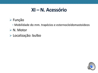 XI – N. Acessório
 Função
• Mobilidade do mm. trapézios e esternocleidomastoideos
 N. Motor
 Localização: bulbo
 