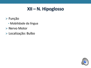XII – N. Hipoglosso
 Função
• Mobilidade da língua
 Nervo Motor
 Localização: Bulbo
 