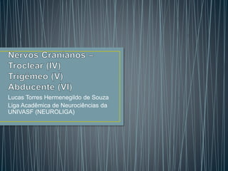 Lucas Torres Hermenegildo de Souza
Liga Acadêmica de Neurociências da
UNIVASF (NEUROLIGA)
 