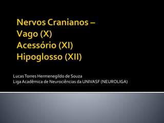 LucasTorres Hermenegildo de Souza
LigaAcadêmica de Neurociências da UNIVASF (NEUROLIGA)
 