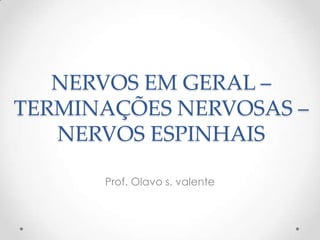 Prof. Olavo s. valente
NERVOS EM GERAL –
TERMINAÇÕES NERVOSAS –
NERVOS ESPINHAIS
 