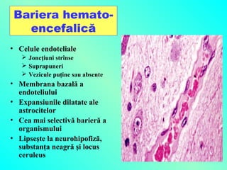 Bariera hematoencefalică
• Celule endoteliale
 Joncţiuni strînse
 Suprapuneri
 Vezicule puţine sau absente

• Membrana bazală a
endoteliului
• Expansiunile dilatate ale
astrocitelor
• Cea mai selectivă barieră a
organismului
• Lipseşte la neurohipofiză,
substanţa neagră şi locus
ceruleus

 
