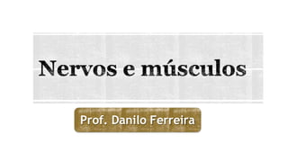Prof. Danilo Ferreira
 