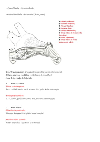 →Nervo Maxilar – forame redondo;
→Nervo Mandibular – forame oval [/learn_more]
[box]Origem aparente craniana: Fissura orbital superior; forame oval
Origem aparente encefálica; região lateral da ponte[/box]
Área de inervação do Trigêmio
1 . R A I Z S E NS I T I VA
Fibras extereoceptivas:
Face, cavidade nasal e bucal, seios da face, globo ocular e meninges
Fibras proprioceptivas:
ATM, dentes, periodonto, palato duro, músculos da mastigação
2 . R A I Z M O T O R A
Músculos da mastigação:
Masseter, Temporal, Pterigóides lateral e medial
Músculos supra hióideos:
Ventre anterior do Digástrico, Milo-hioideo
 