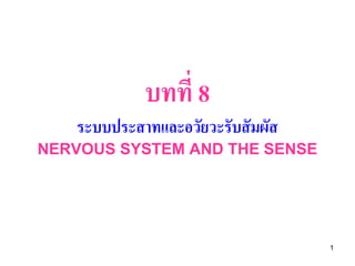 บทที่ 8
   ระบบประสาทและอวัยวะรับสั มผัส
NERVOUS SYSTEM AND THE SENSE




                                   1
 