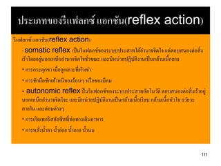 ประเภทของรี แฟลกซ์ แอกชัน(reflex action)
รี แฟลกซ์ แอกชัน(reflex action)
     - somatic reflex เป็ นรี แฟลกซ์ของระบบประสาทใต้อานาจจิตใจ แต่ตอบสนองต่อสิ่ ง
                ่
     เร้าโดยอยูนอกเหนืออานาจจิตใจชัวขณะ และมีหน่วยปฏิบติงานเป็ นกล้ามเนื้อลาย
                                          ่            ั
     * การกระตุกขา เมื่อถูกเคาะที่หวเข่า
                                      ั
     * การชักมือชักเท้าหนีของร้อนๆ หรื อของมีคม
     - autonomic reflex ป็ นรี แฟลกซ์ของระบบประสาทอัตโนวัติ ตอบสนองต่อสิ่ งเร้าอยู่
     นอกเหนืออานาจจิตใจะ และมีหน่วยปฏิบติงานเป็ นกล้ามเนื้อเรี ยบ กล้ามเนื้อหัวใจ อวัยวะ
                                              ั
     ภายใน และต่อมต่างๆ
     * การเกิดเพอริ สตัลซี สที่ท่อทางเดินอาหาร
     * การหลังน้ าตา น้ าย่อย น้ าลาย น้ านม
              ่


                                                                                     111
 
