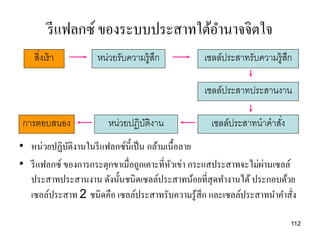 รี แฟลกซ์ ของระบบประสาทใต้อานาจจิตใจ
   สิ่งเร้ า        หน่วยรับความรู้สก
                                    ึ           เซลล์ประสาทรับความรู้สก
                                                                      ึ

                                                เซลล์ประสาทประสานงาน

การตอบสนอง             หน่วยปฏิบติงาน
                                ั                เซลล์ประสาทนาคาสัง
                                                                  ่
• หน่วยปฏิบติงานในรี แฟลกซ์น้ ี เป็ น กล้ามเนื้อลาย
             ั
                                                                 ่
• รี แฟลกซ์ ของการกระตุกขาเมื่อถูกเคาะที่หวเข่า กระแสประสาทจะไม่ผานเซลล์
                                             ั
  ประสาทประสานงาน ดังนั้นชนิดเซลล์ประสาทน้อยที่สุดทางานได้ ประกอบด้วย
  เซลล์ประสาท 2 ชนิดคือ เซลล์ประสาทรับความรู ้สึก และเซลล์ประสาทนาคาสั่ง

                                                                      112
 
